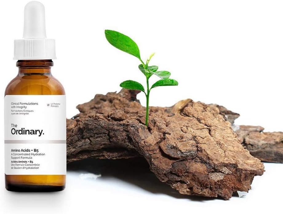The Ordinary - Amino Acids + B5 A Concentrated Hydration Support Formula 30 ml